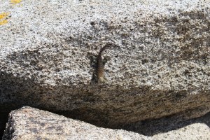 "Mattshu-San! Run for your lives!!"