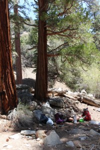 A much needed lunch break in the shade.