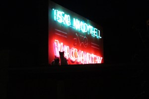 Kittens of the night, perhaps judging us for hiking so late in the season. 